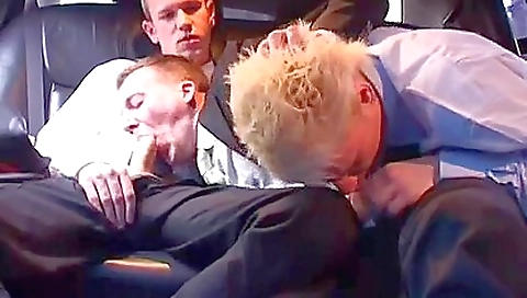 Hawt sweetheart gives head to the best cock